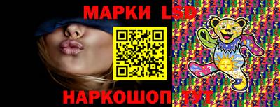 гашик Гатчина
