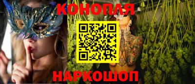 гашик Гатчина