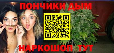 гашик Гатчина